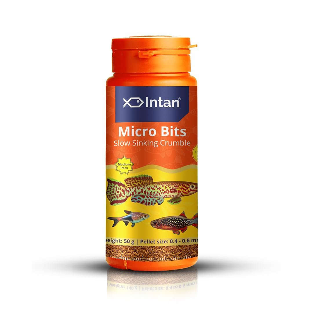 Intan Micro Bits (0.4-0.6mm Slow Sinking Crumble) | 50gm - Highly Nutritious Ornamental Fish Food for Small Mouths - Killifis