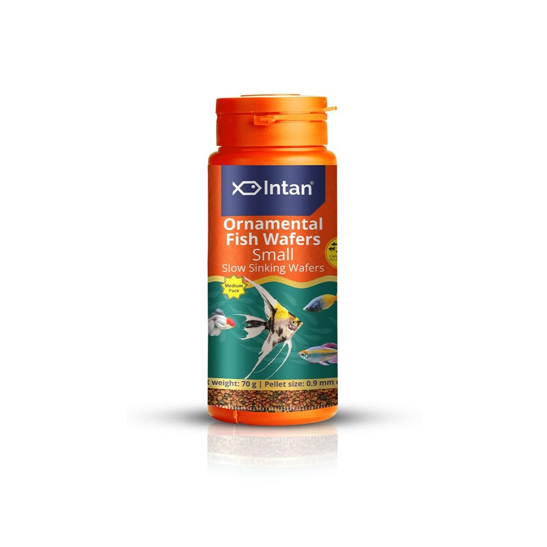 Intan Ornamental Fish Wafers (Small 0.9mm Slow Sinking) | 70gm - Highly Nutritious Ornamental Fish Food for Angels, Gouramis,