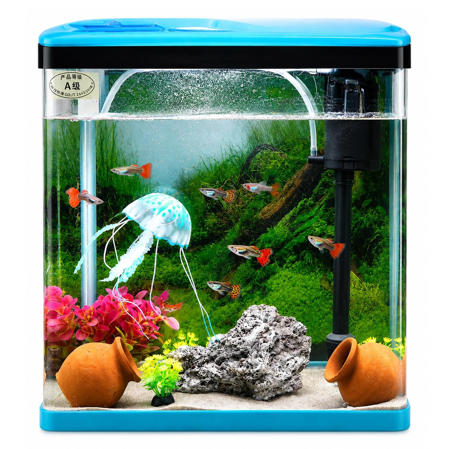 JAINSONS PET PRODUCTS Fish Aquarium Tank Capacity 28 Liter (Colour May Vary, Blue Or Red, Rust Resistant) LXWXH 16''X8''X17''