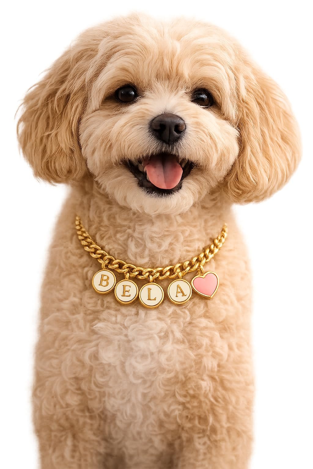 JANEJA Personalized Pet Name Necklace for Dogs & Cats | Custom Pet Name Charm Necklace | Adjustable Gold Plated Pet Jewellery