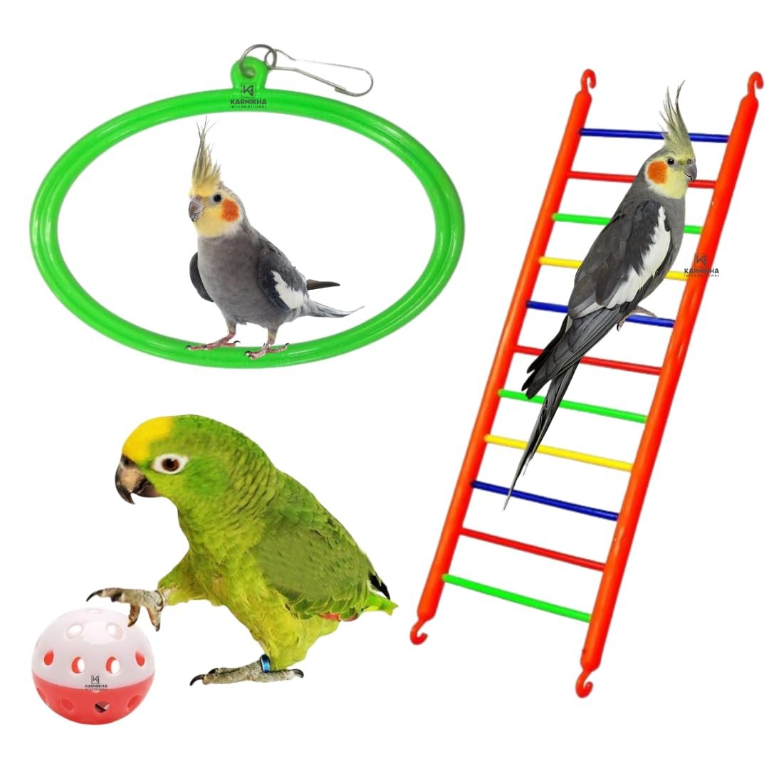 Karnikha’s Interactive Bird Play Toys | Bird Toys | Hanging Swing, Climbing Ladder & Ball Toy for Budgies, Love Birds, Conure