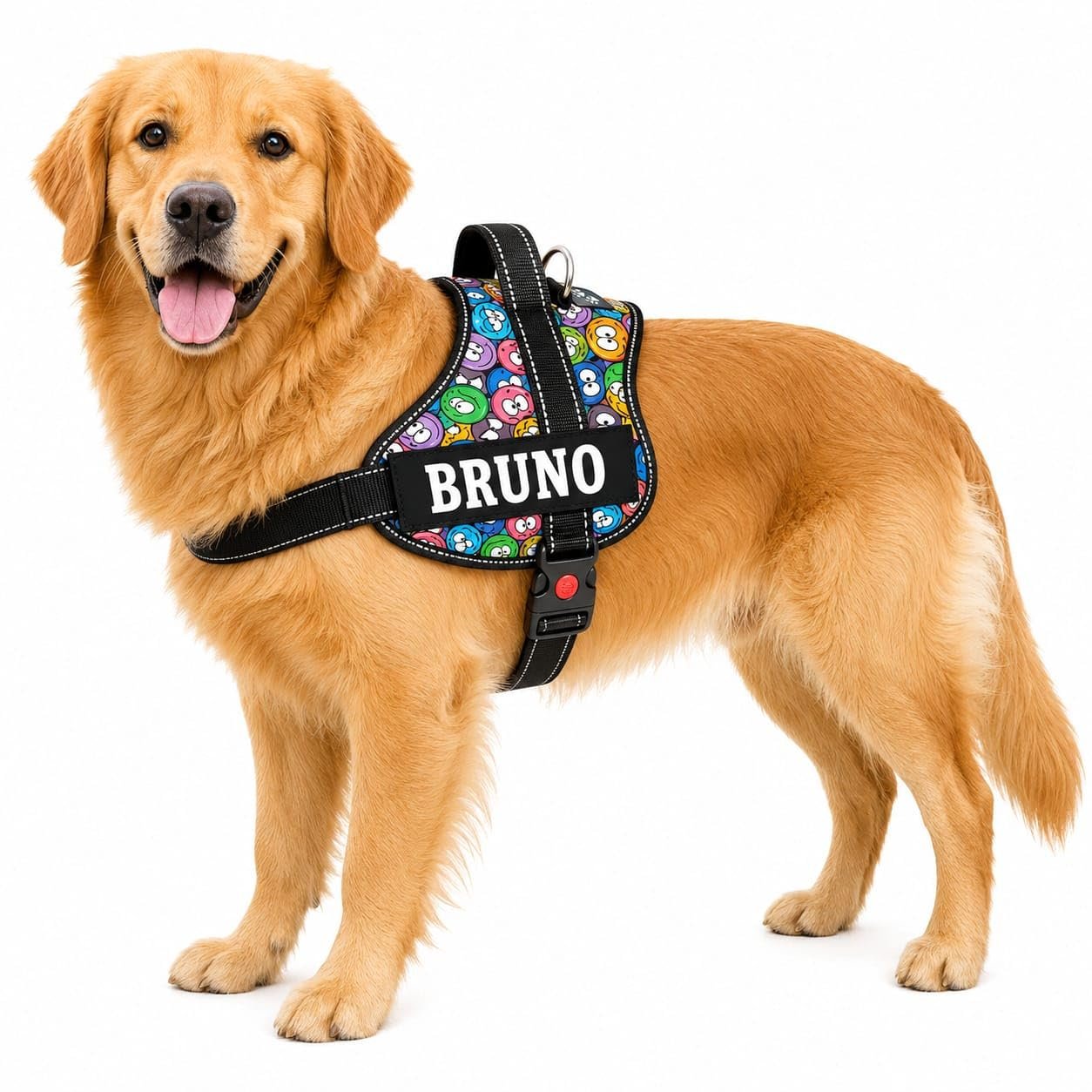 KIKA Pets Personalized Dog Harness Belt | Dog Harness with Name | Customized Dog Vest Harness, Harness for Dogs Large Size (f