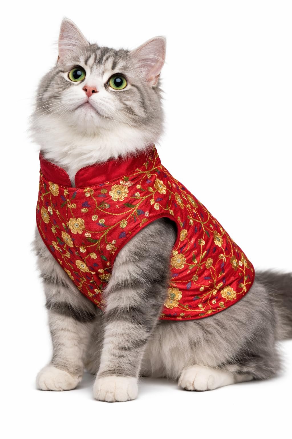 LittlePaws Royale Embroided Dog Kurta Sherwani for Large Cats & Small Dogs – Premium Embroidered Dog Dress for Weddings & Fes