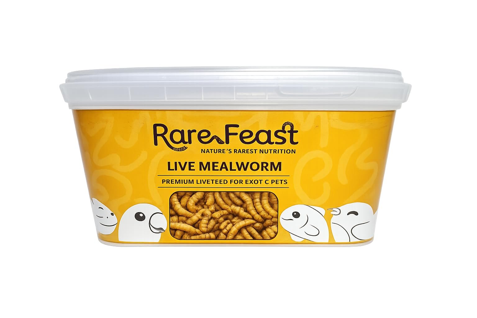 Live Mealworms for Reptiles, Birds & Amphibians | Tenebrio Molitor Feeder Insects | High Protein & Easy Digest | Ideal for Li