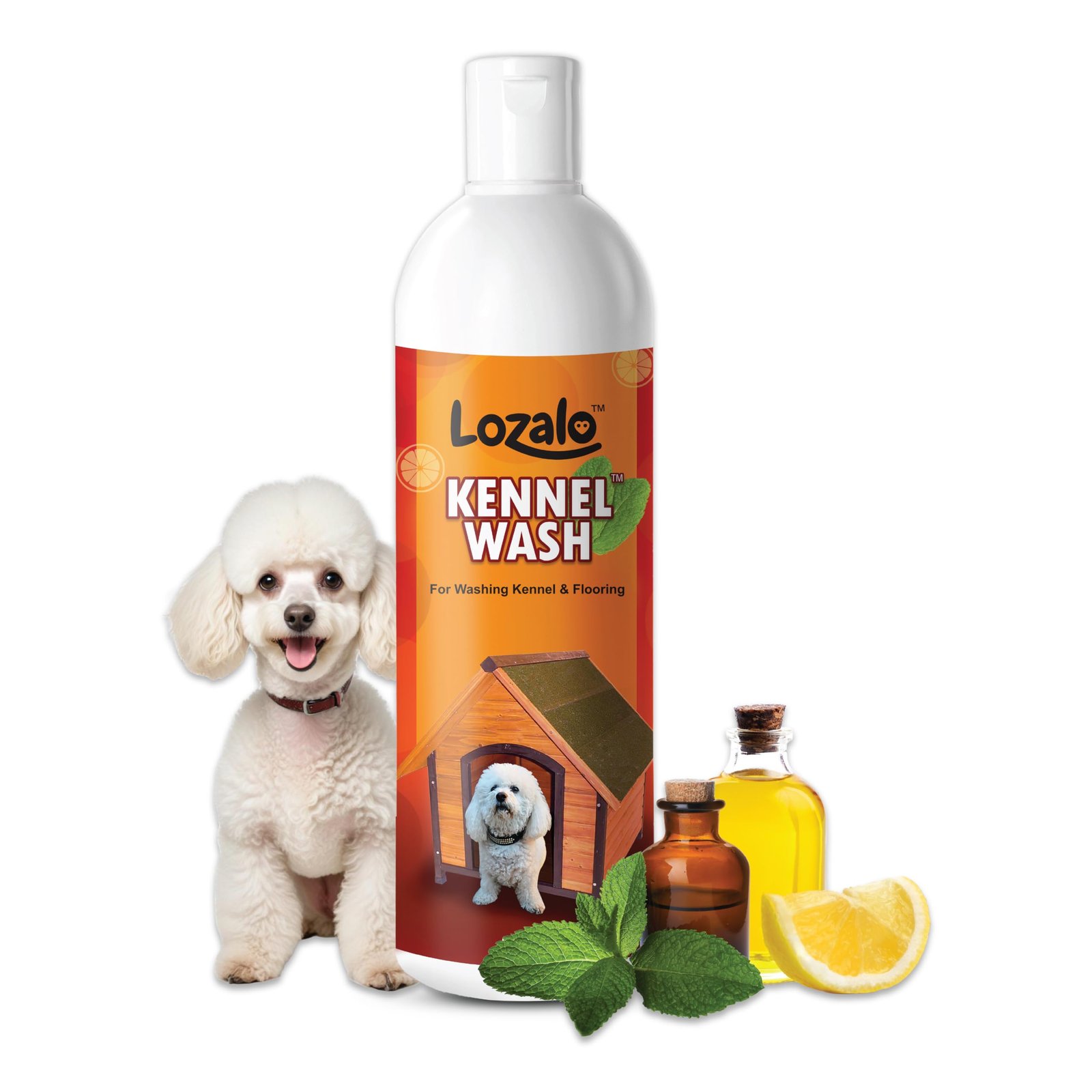 Lozalo Kennel Wash Liquid 500ml for Washing Dog Kennel & Flooring, Pet Shops, Veterinary Clinics & Grooming Salons (Red)