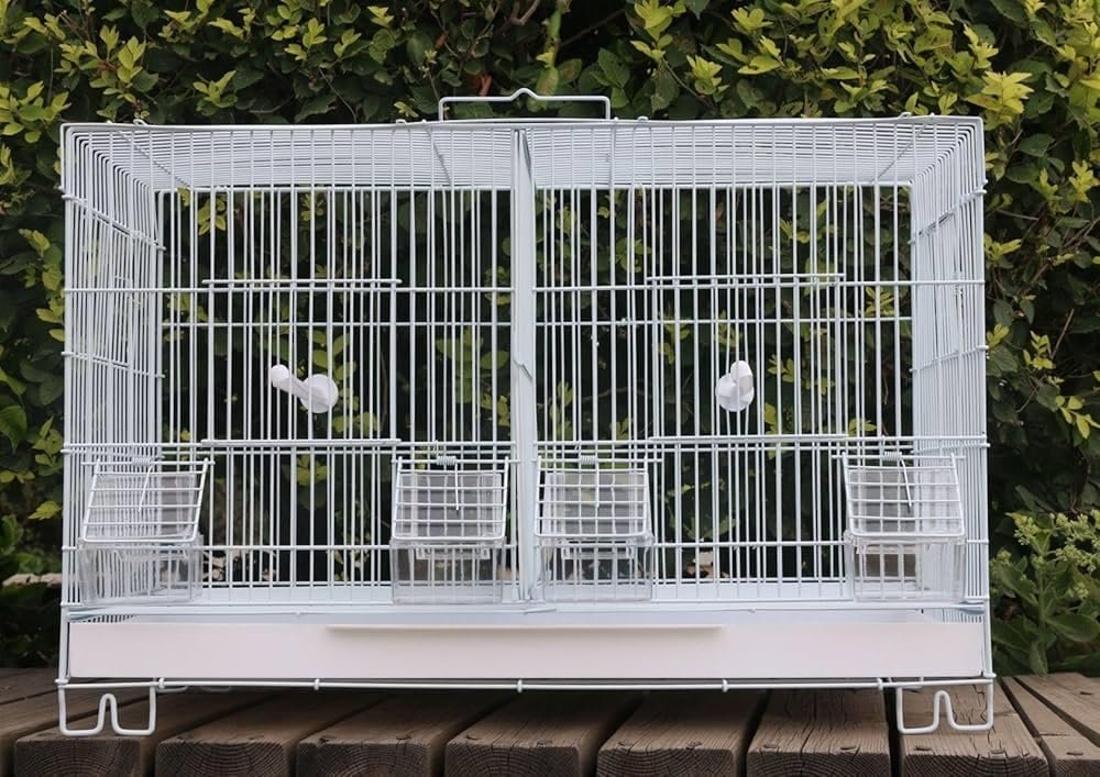 Metal Birds Cages with Removable Partition for Pigeons,Hens,Canary,Finches,Budgies,Lovebirds, Cocktail,Conures for Breeding B