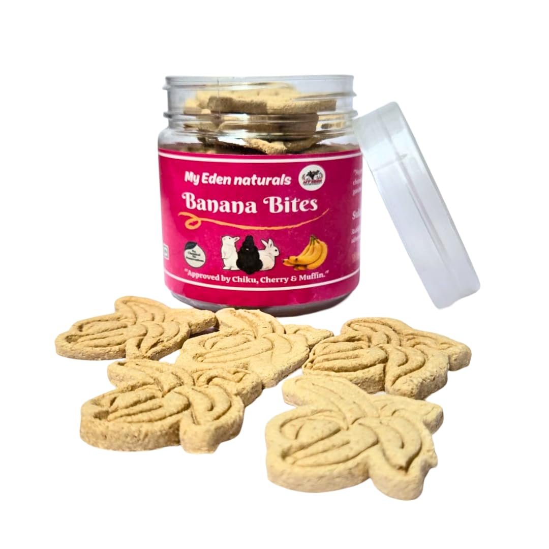 My Eden Banana Bites for Rabbits & Guinea Pigs | Wholesome Banana and Oat Treats, High-Fiber, Natural, Vet-Recommended