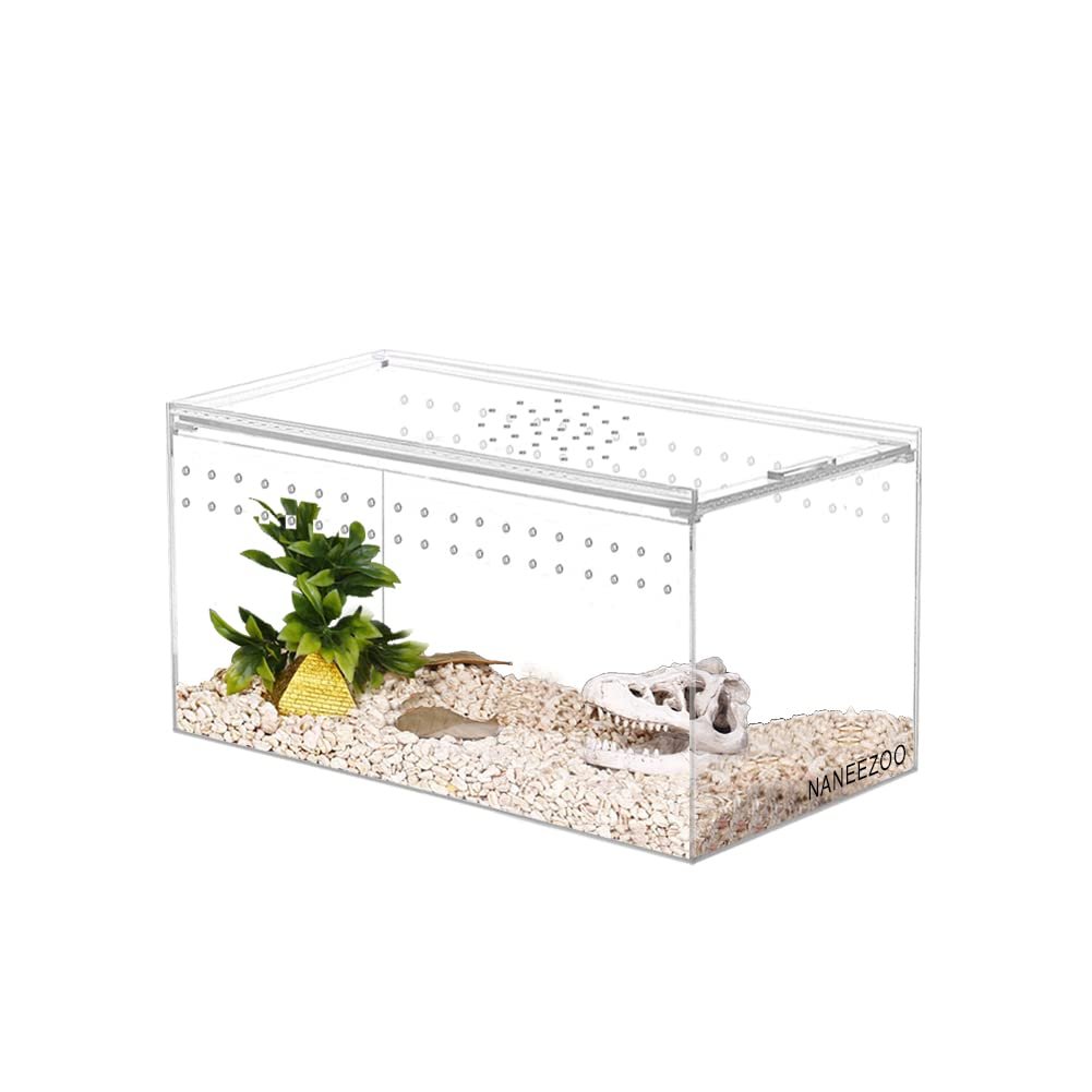 NANEEZOO Magnetic Acrylic Reptile Terrarium Enclosure, 8" x 4" x 4" Reptile Insect Breeding Box for Small Tree Dwelling Repti