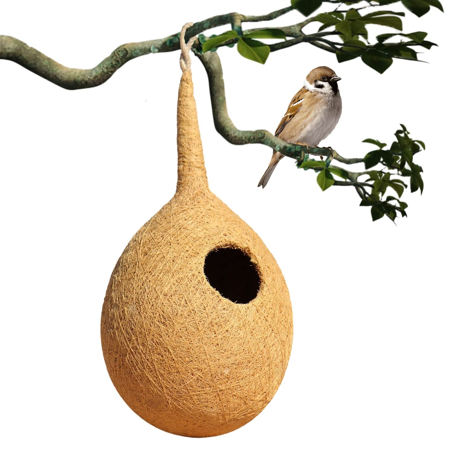 Organic Large Coir Bird Nest House | Handcrafted Hanging, Wall & Tree Mounting | Sparrows & Small Birds | Handmade Eco-Friend