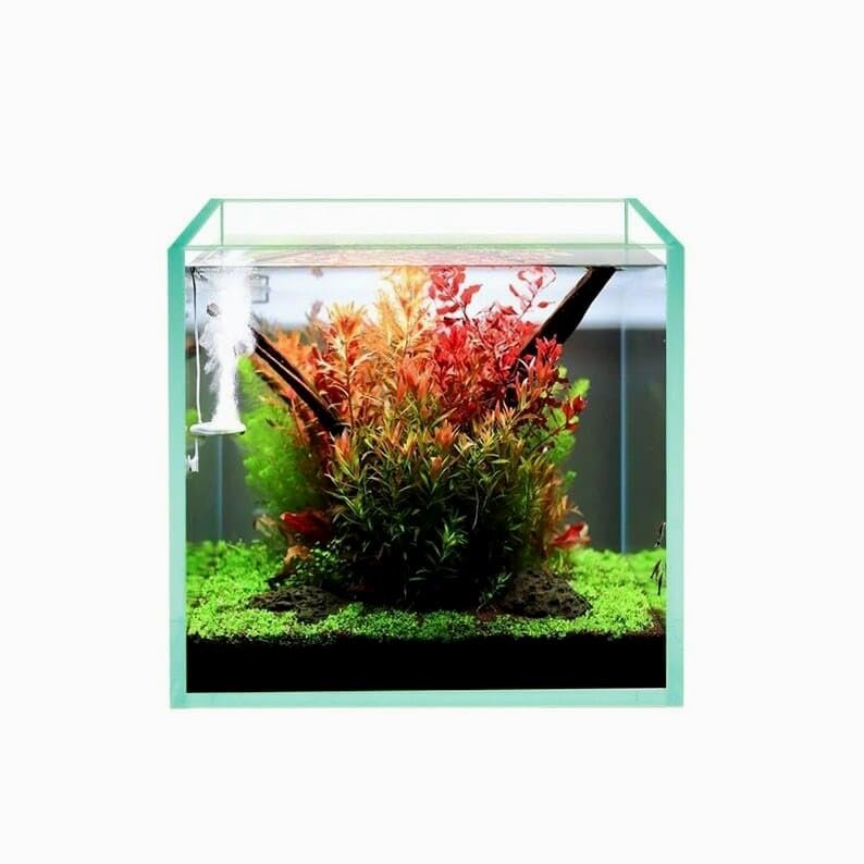 PARKO AQUARIUM Glass Aquarium Display Cube, Available in 3 Sizes - Medium 30cm, Small 25cm, Nano 20cm (Medium Size 30 CM)