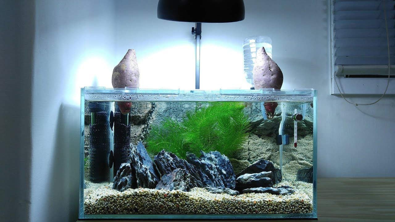 Parko Home Decoration Turtle Aquarium Tank Beautiful Fashion Clear Glass Mini Fish Tank Aqua Habitat Aquarium Tank Only (Colo