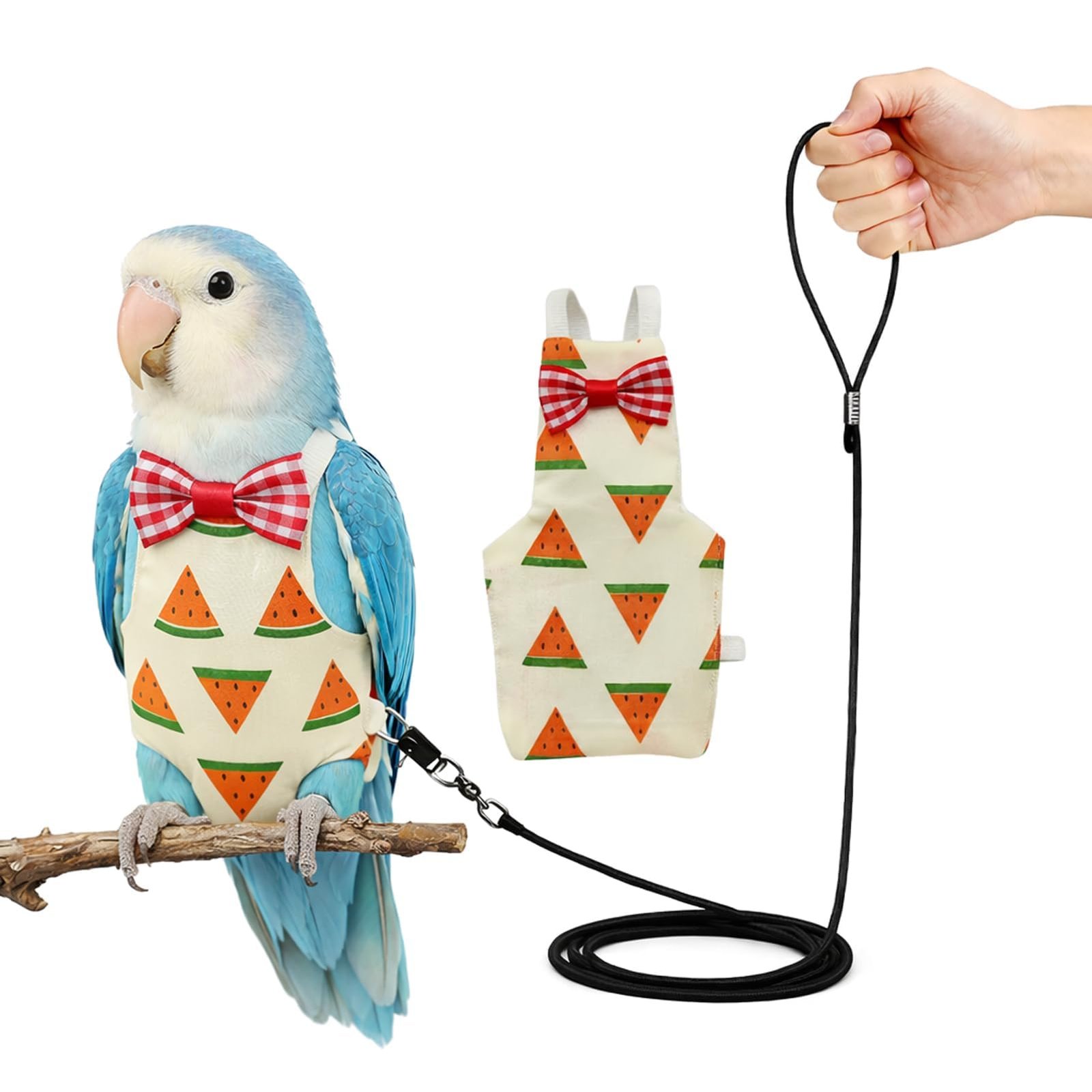 Parrot Diaper and Bird Harness and Leash Set, 2-Meter Outdoor Bird Leash with Flight Suit for Parrots, Watermelon Pattern, Si