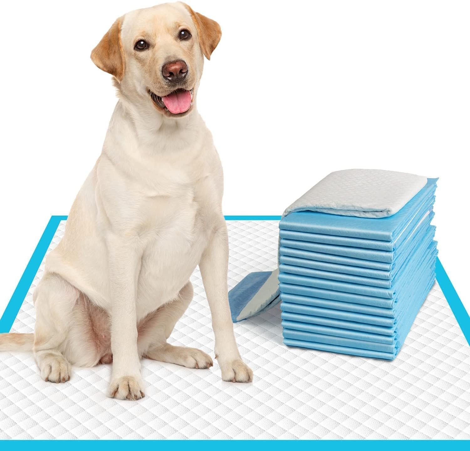 Patch & Marshall Premium Pee & Potty Training Pads XTRA LARGE SIZE Pads with Adhesive Floor Strips Suitable for Puppies & All