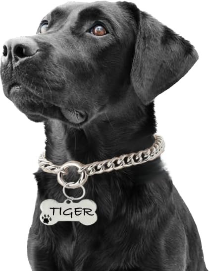 PAWPRO HANDMADE Personalized Choke Chain Collar With Custom Name Tag Id For Large Medium Dog And Small Puppy With Customizabl