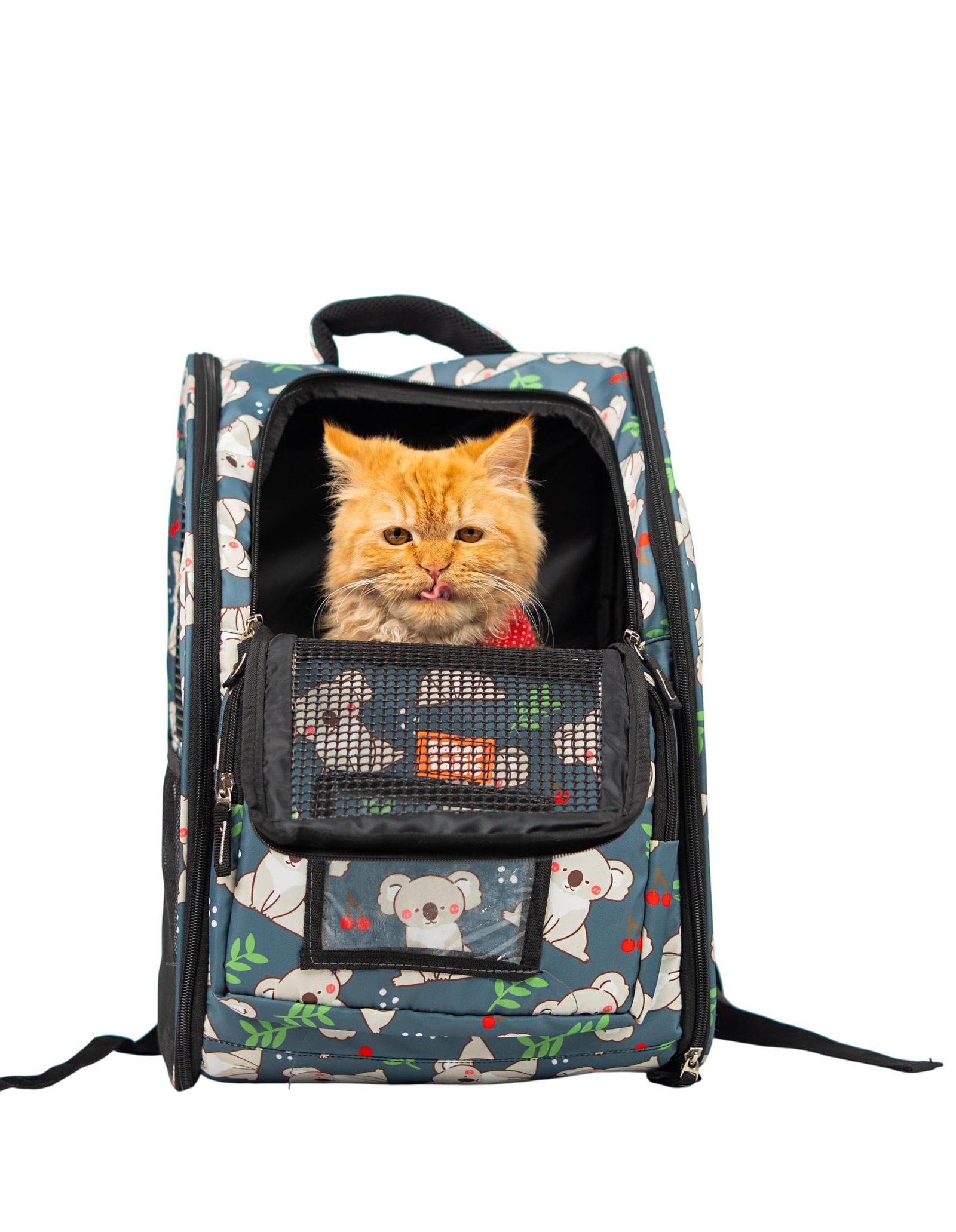 Pawptails Printed Cat Carrier Backpack for Cats | Breathable & Ventilated Pet Travel Bag | Airline-Approved Backpack with Stu