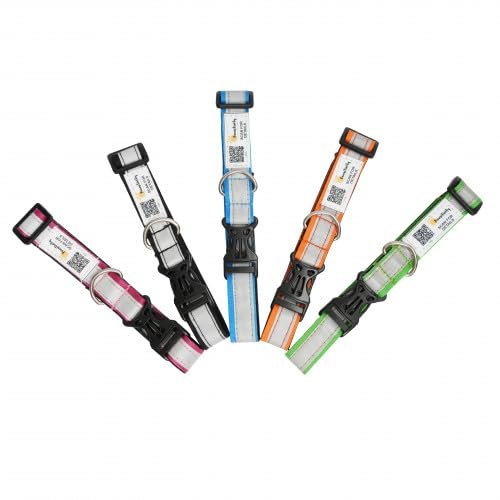 Pawsitivity - Save Our Street Animals India's Smart Nylon Reflective Collars for Stray Dogs, Qr Scan Enabled, Adjustable, Dur