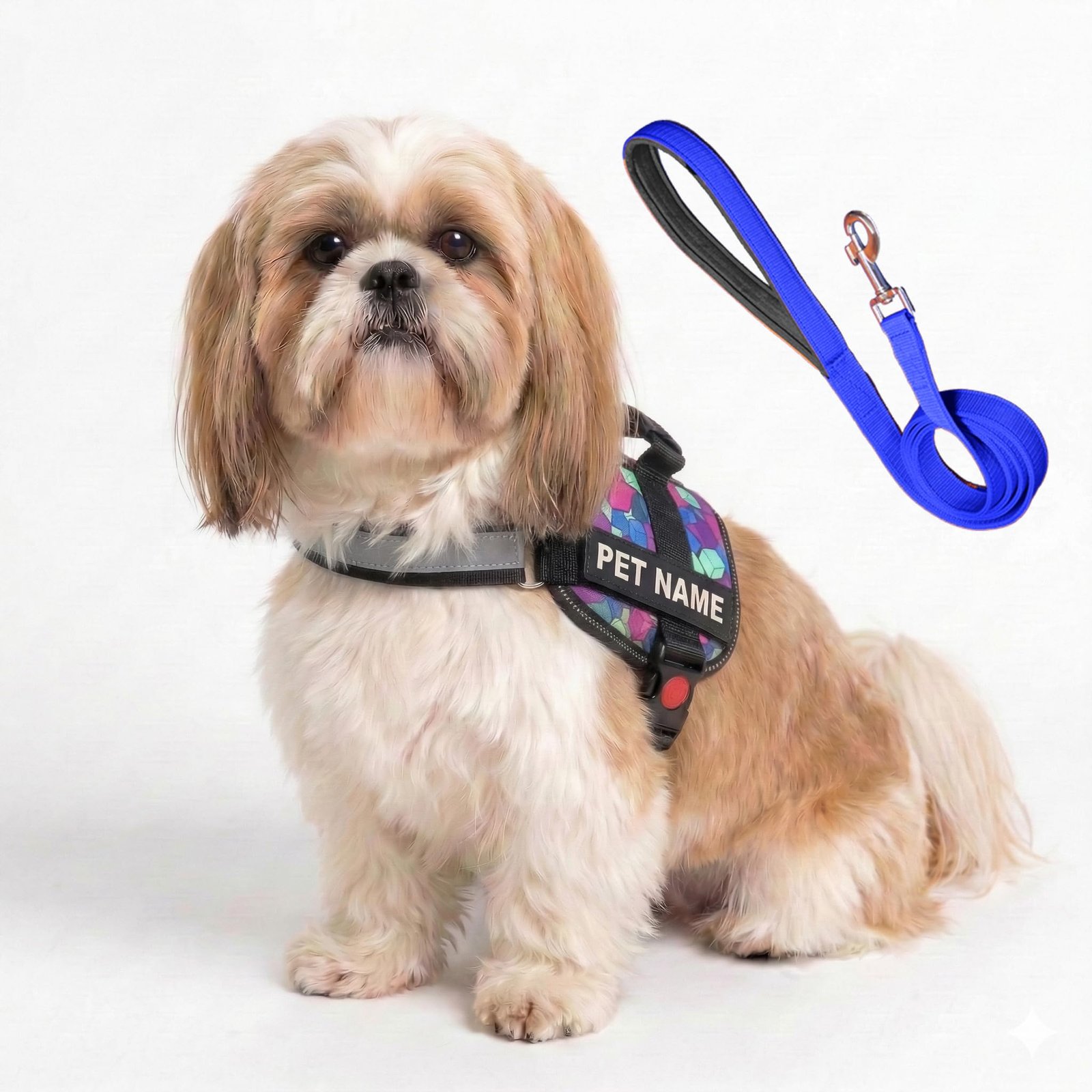 PAYTON PERRY Customized Dog Harness for Small Puppy | Personalized Dog Harness for Shih tzu, No Pull, Adjustable (XS, Blue-Di