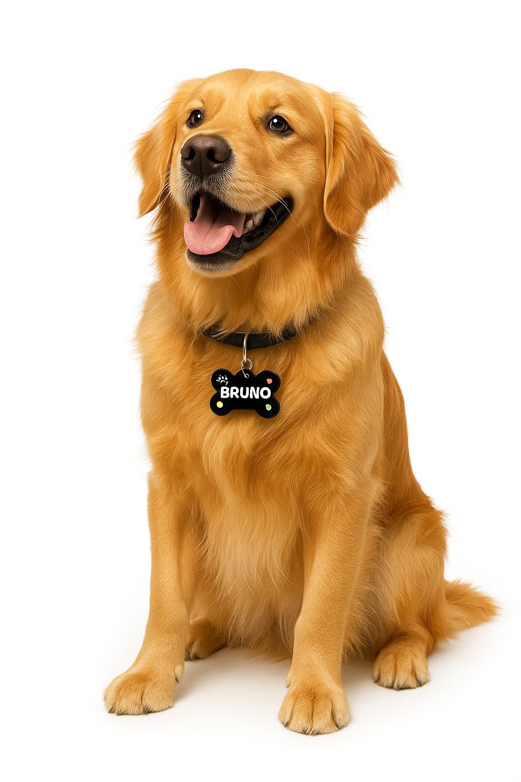 Payton Perry Personalized Pet Name ID Tag for Dogs | Lightweight, Water-Proof and Skin Safe (Bone Shape)