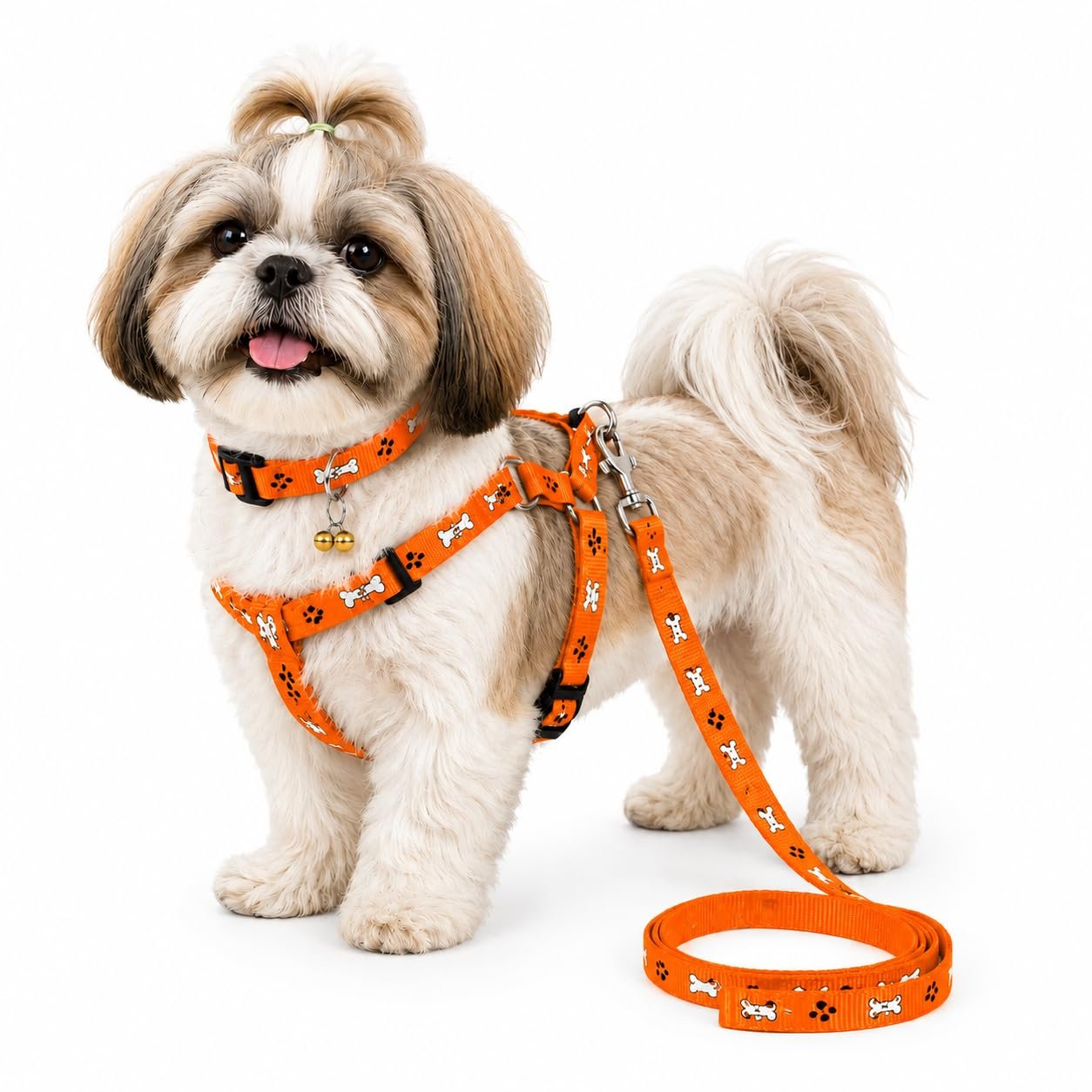 PAYTON PERRY Puppy Harness, Collar & Leash Combo Set, Nylon Fabric, Adjustable Size, Bone Paw Printed, Recommended for 02-10