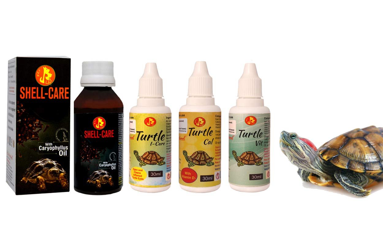 Pet Care International (PCI) Special Combo Turtle i-Care, Turtle Cal, Turtle VIT, Shell Care Swollen Infected Eye, Strong She