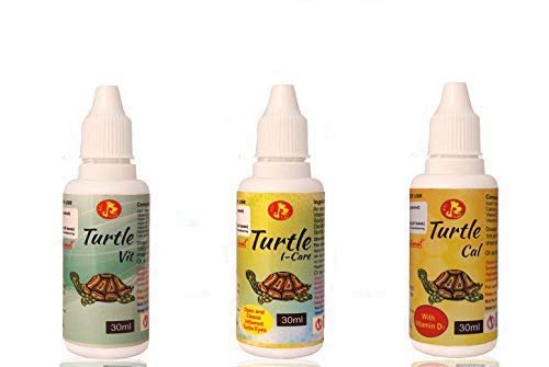 Pet Care International (PCI) Special Combo Turtle i-Care Turtle Cal Turtle VIT Drop for Swollen Infected Eye & for Strong She