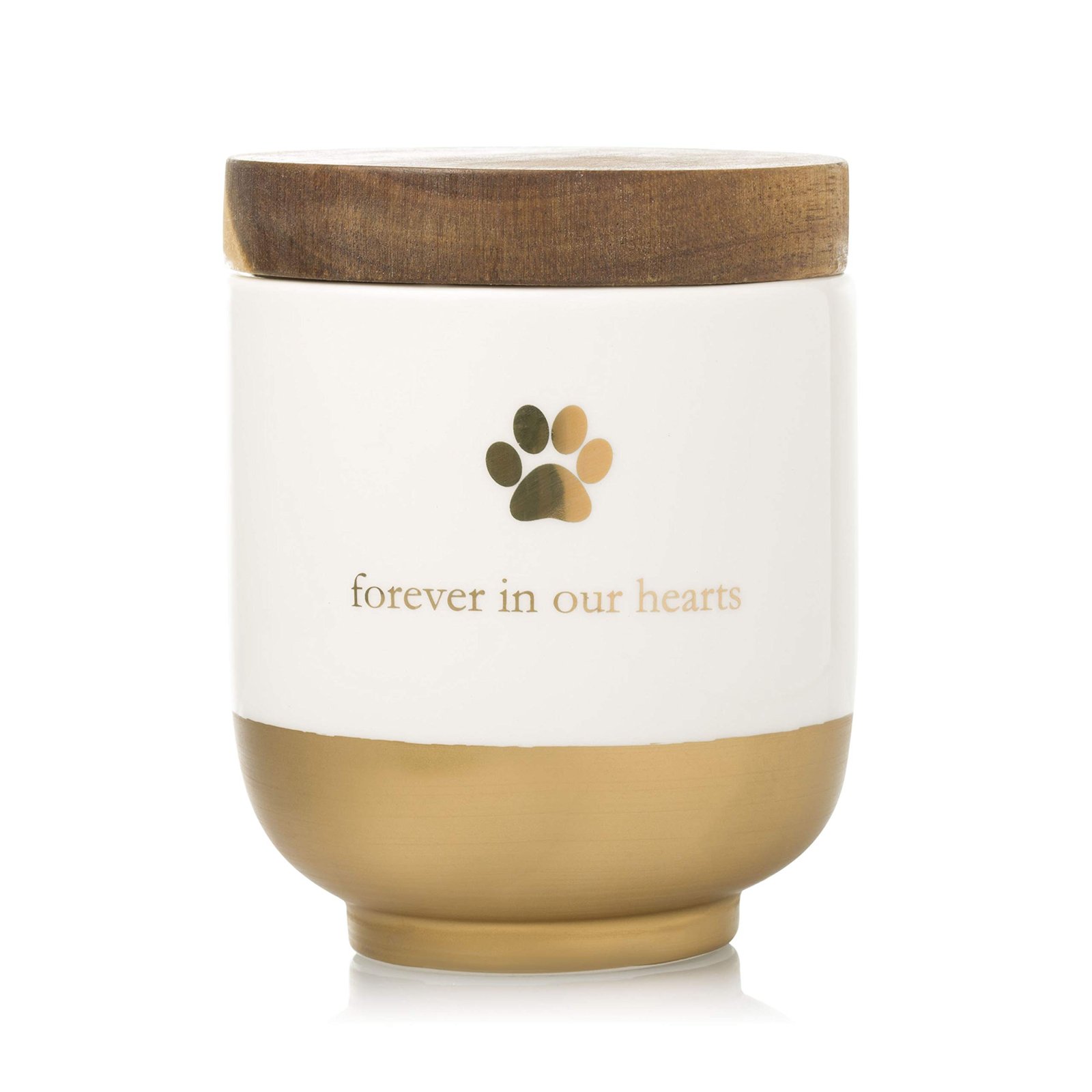 Pet Ceramic Urn, Gold | Pet Memorial Keepsake Box, Collar Pet Keepsake or Ashes Storage, Dog or Cat Sympathy Gift