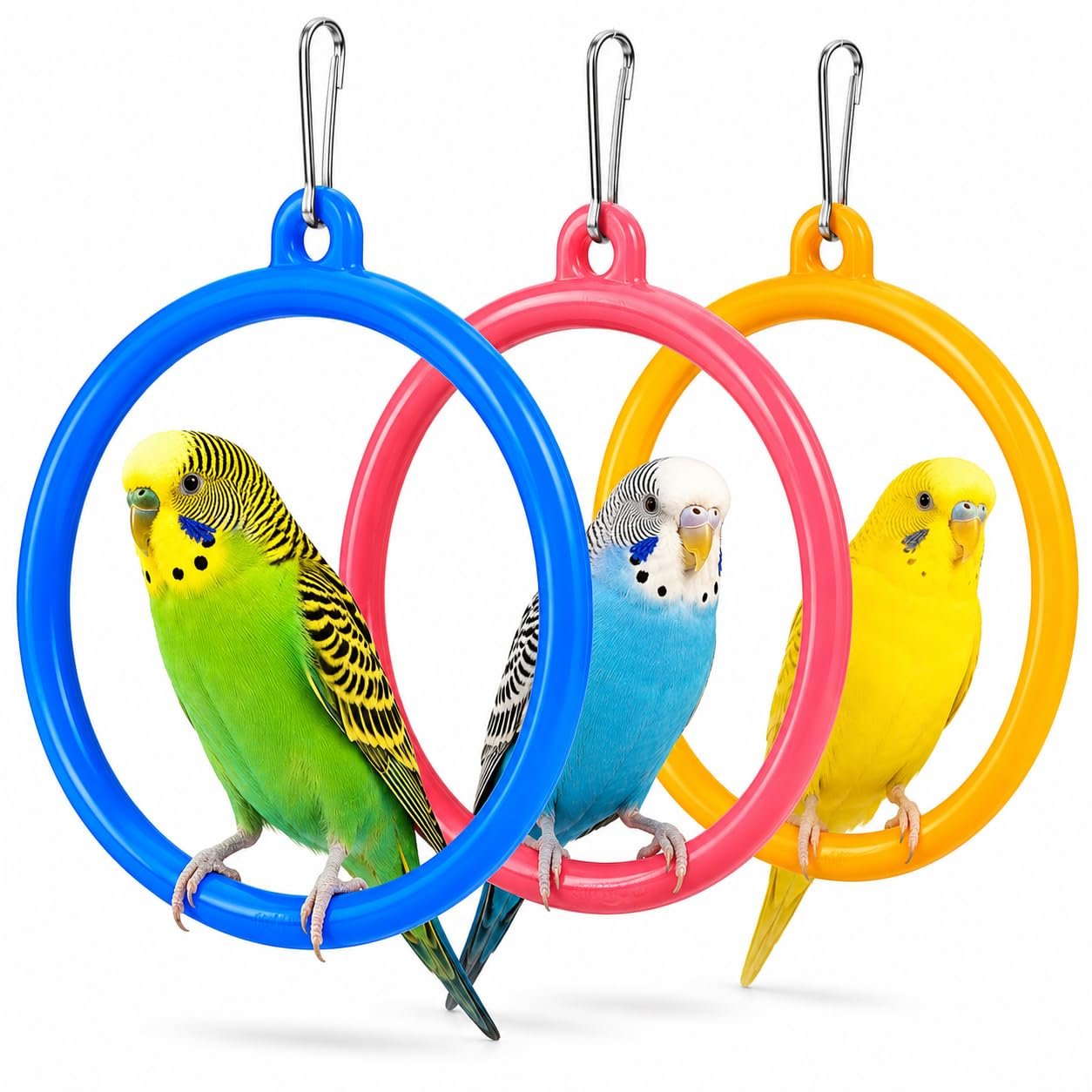 Pet Pro Bird Swing Rings, Interactive Hanging Toys for Parrots, Budgies, Cockatiels, Set of 3