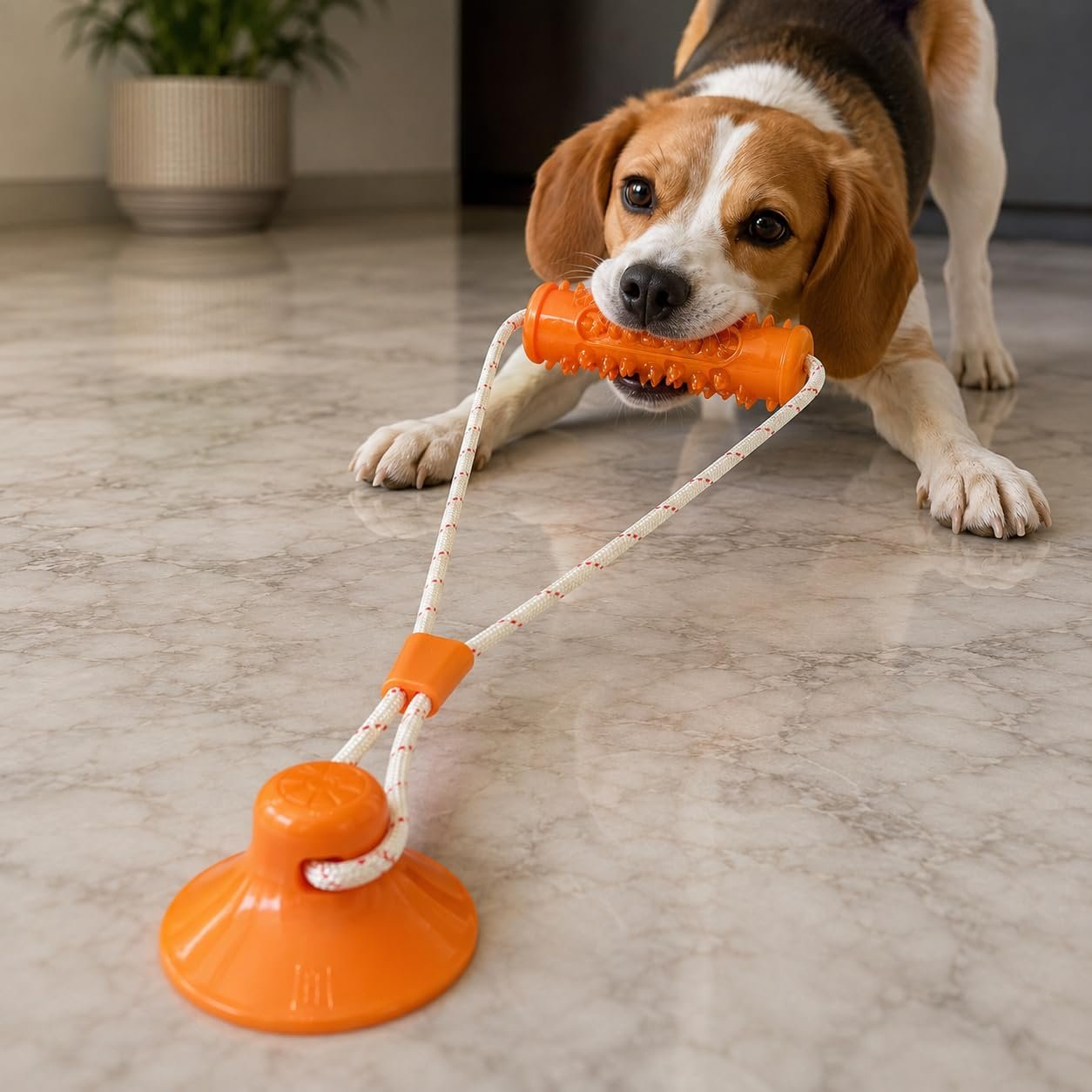 PetPals Bite & Pull Dog Toy with Suction Cup | 2-in-1 Chew & Tug Toy for Dogs | Exercise Toy for Dog