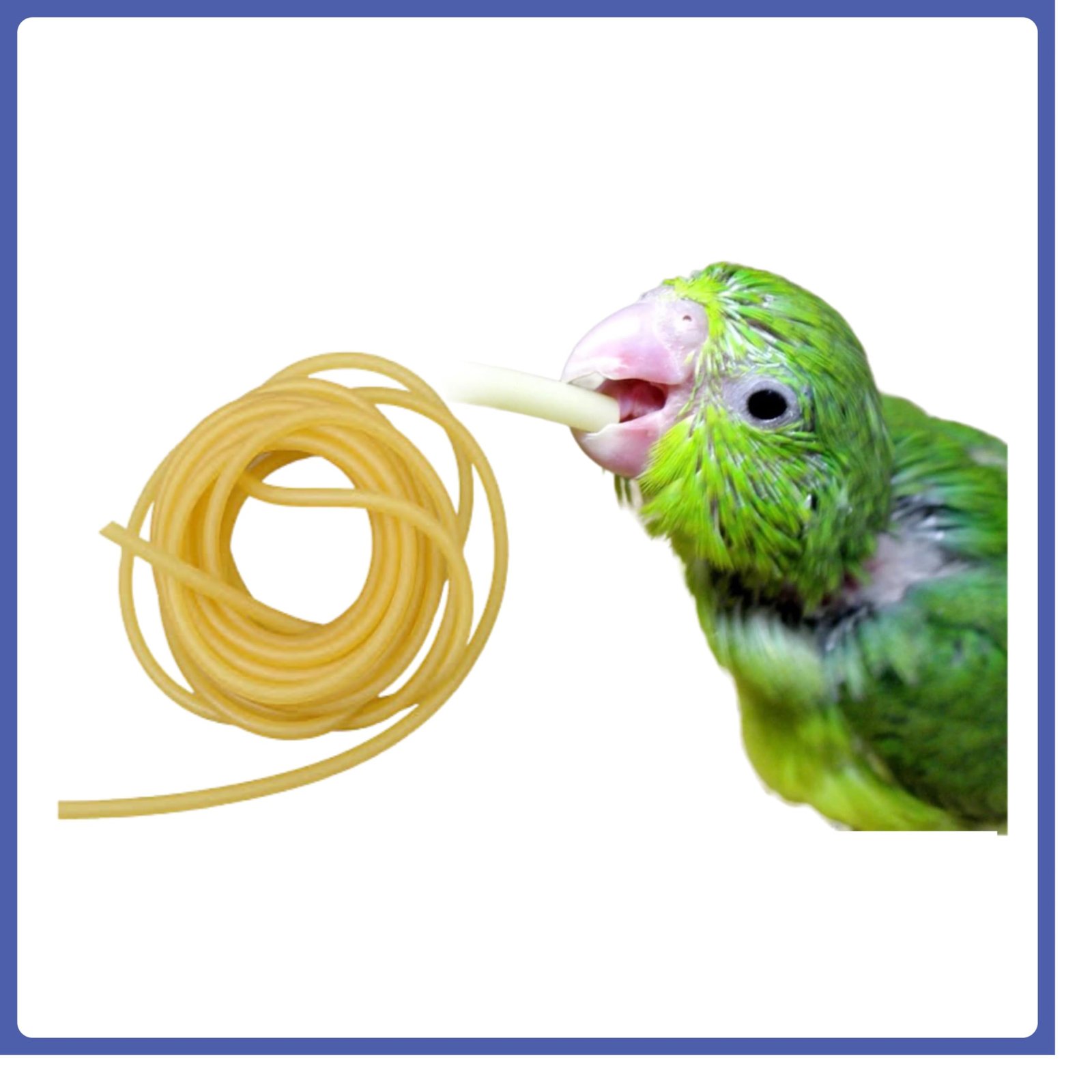 Pets Wizard - Birds Imported Handfeeding Tube for Parakeets, Parrots, Cockatiels, Macaws, and All Exotic Birds (Only Tube) 12