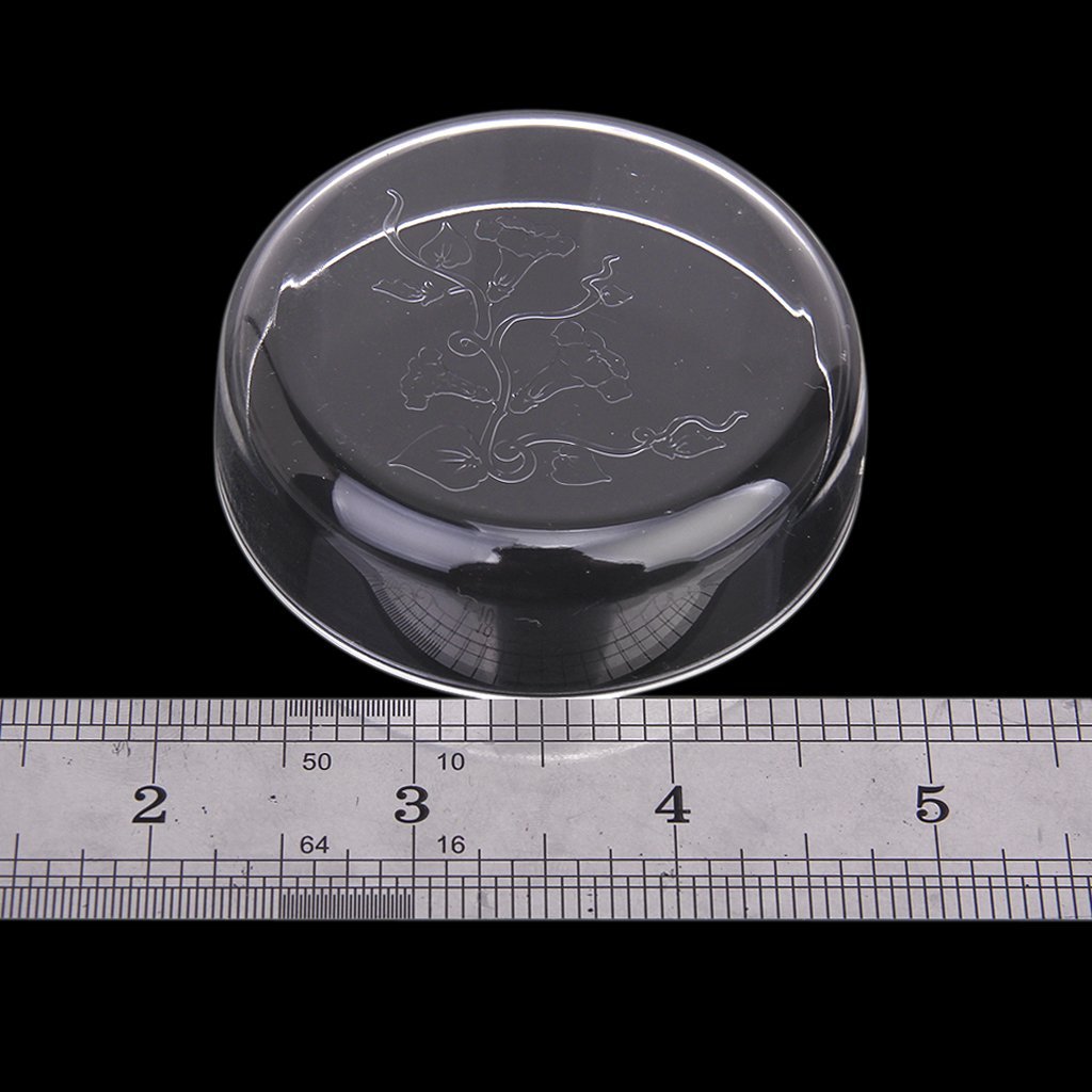 Phenovo Acrylic Shrimp Feeding Dish for Shrimp Tropical Fish Ratfish Aquarium Fish Tank Supplies 6.8 x 5.4X 2.0 cm