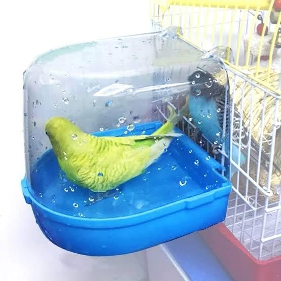 Plastic Birds Bath Tub for Birds Cage Small Birds Bathing Box (Color May Vary) by Pet & Vet. (Blue& White).