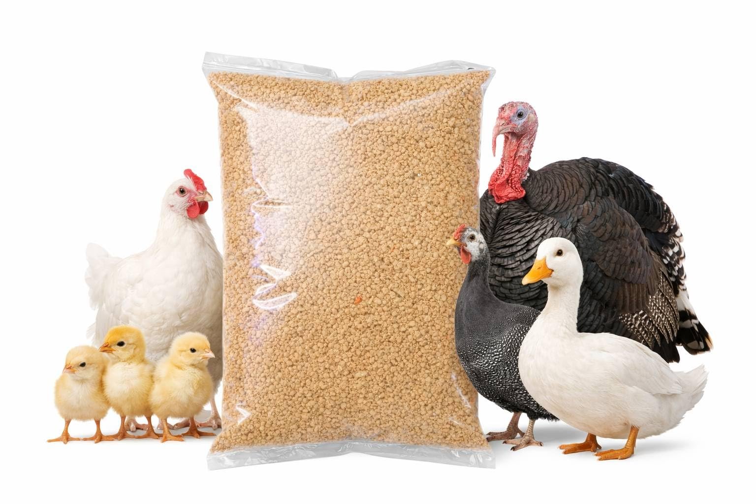 Poultry Food (MASH) for Chicks,Turkey,Duck, Chicken (MURGI) 1 KG Pack Dry All Life Stages Bird Food