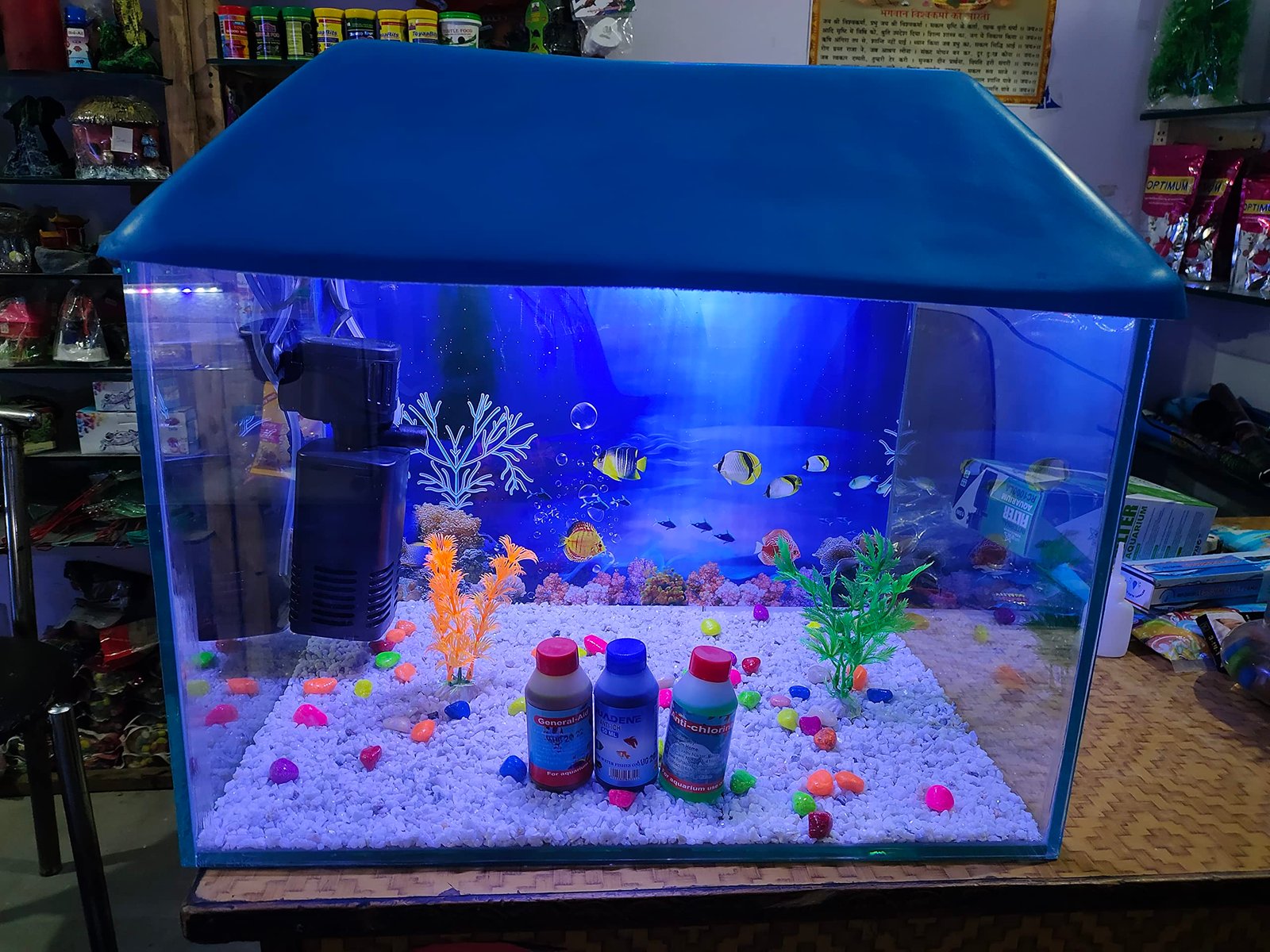 PRIYU 40 litres Aquarium Glass Tank Set (12X12X18 Inches)