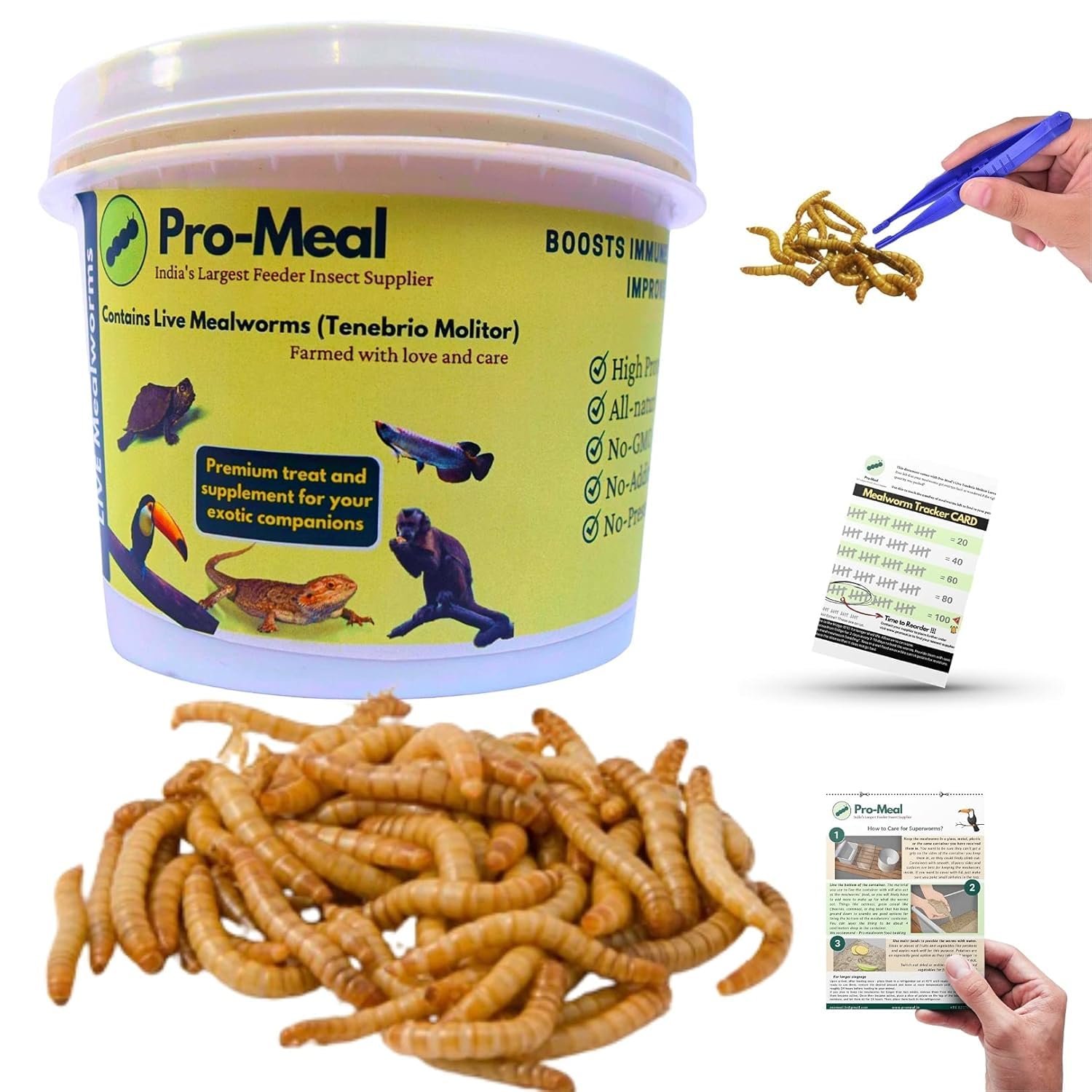 Promeal Live Larvae Mealworms High Protein Treat for Aquarium Fishes, Birds, Reptiles, Monkeys & Exotic Pets (100 Mealworms)