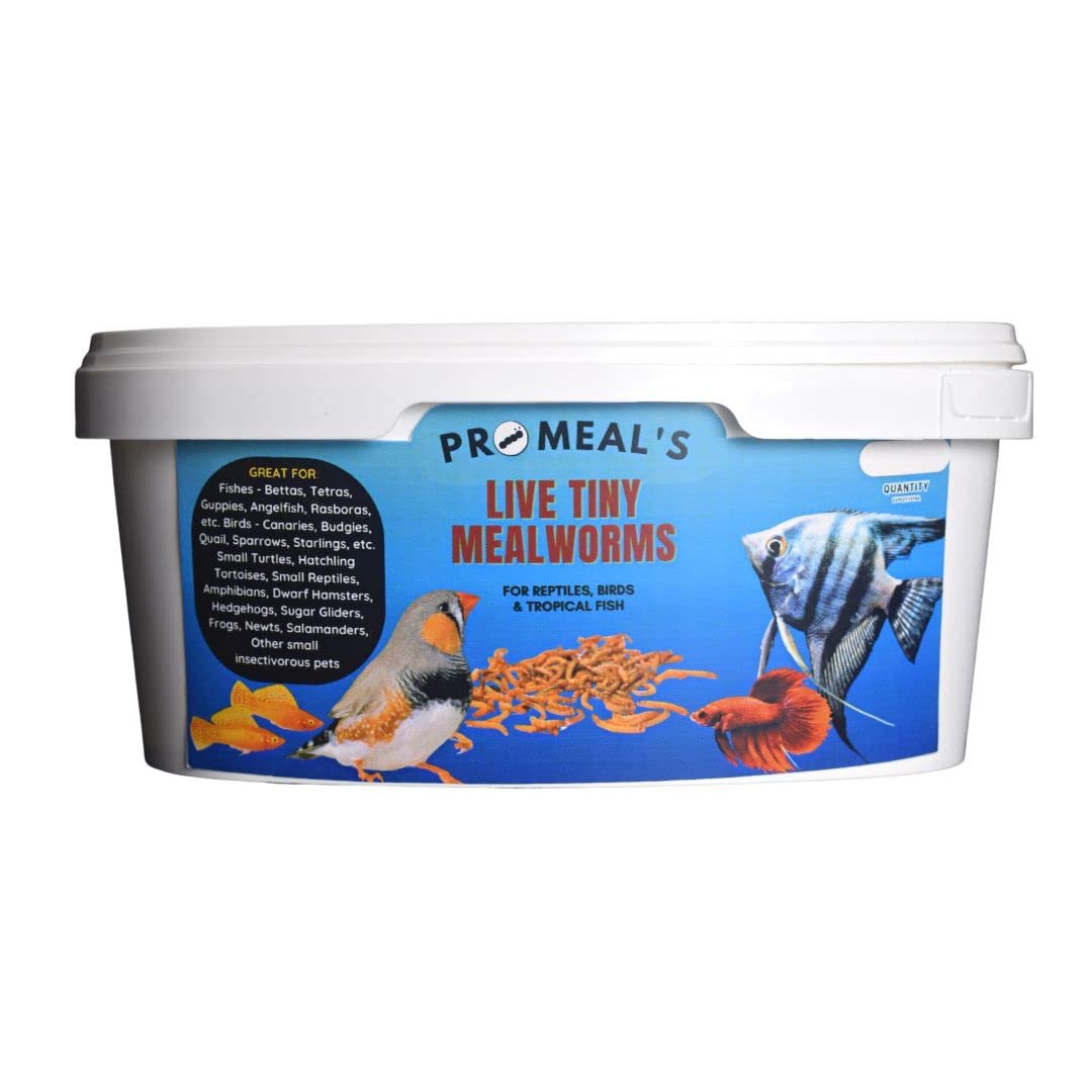 Promeal Live Tiny Mealworms & Roaches – High Protein Natural Feed for Small Pets, Aquarium Fish (Bettas, Tetras, Guppies) & B