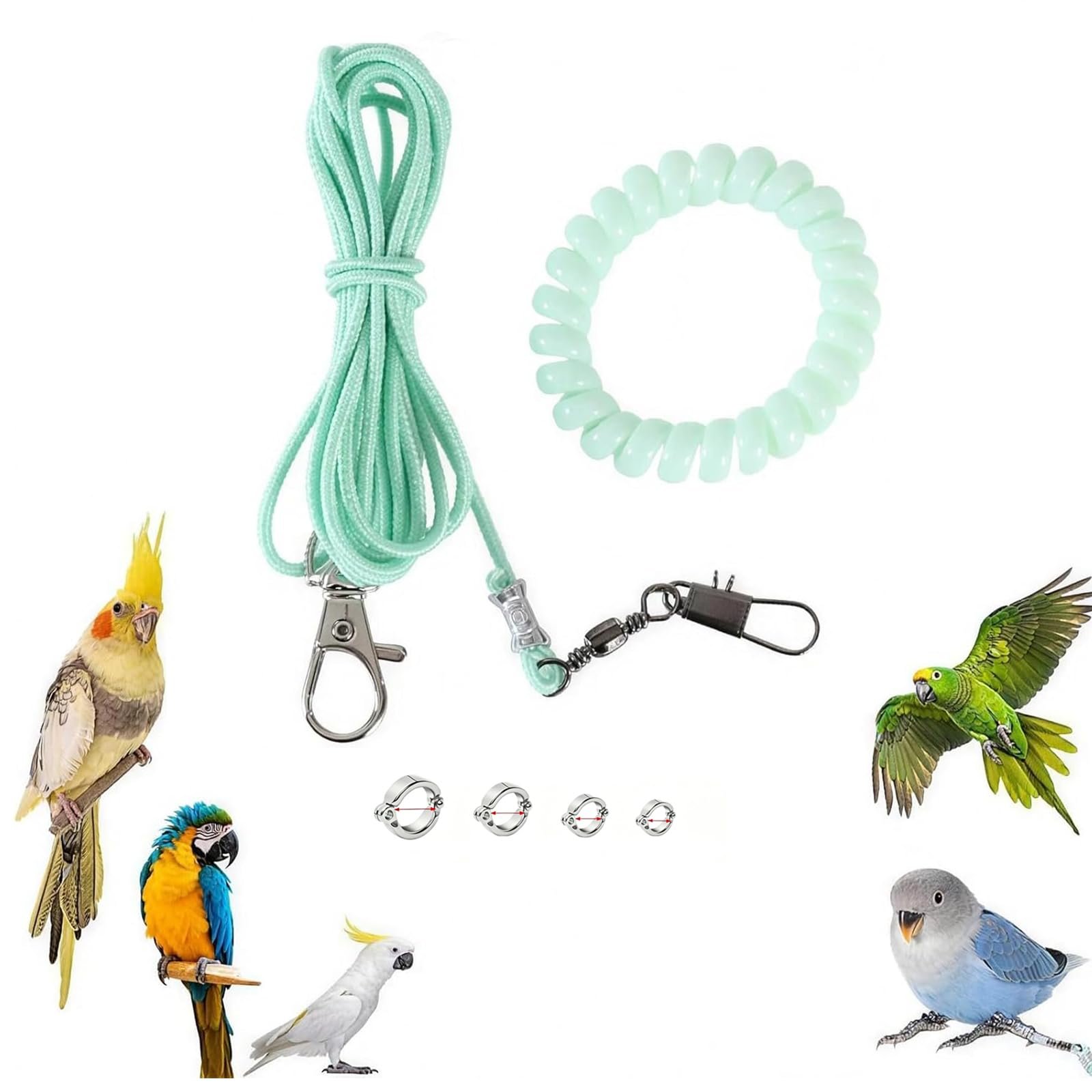 Qleema 300cm Bird Harness, Parrot Harness with 4 Different Size Foot Ring with Anti Lost Bracelet, Secure Fit Mini Lightweigh