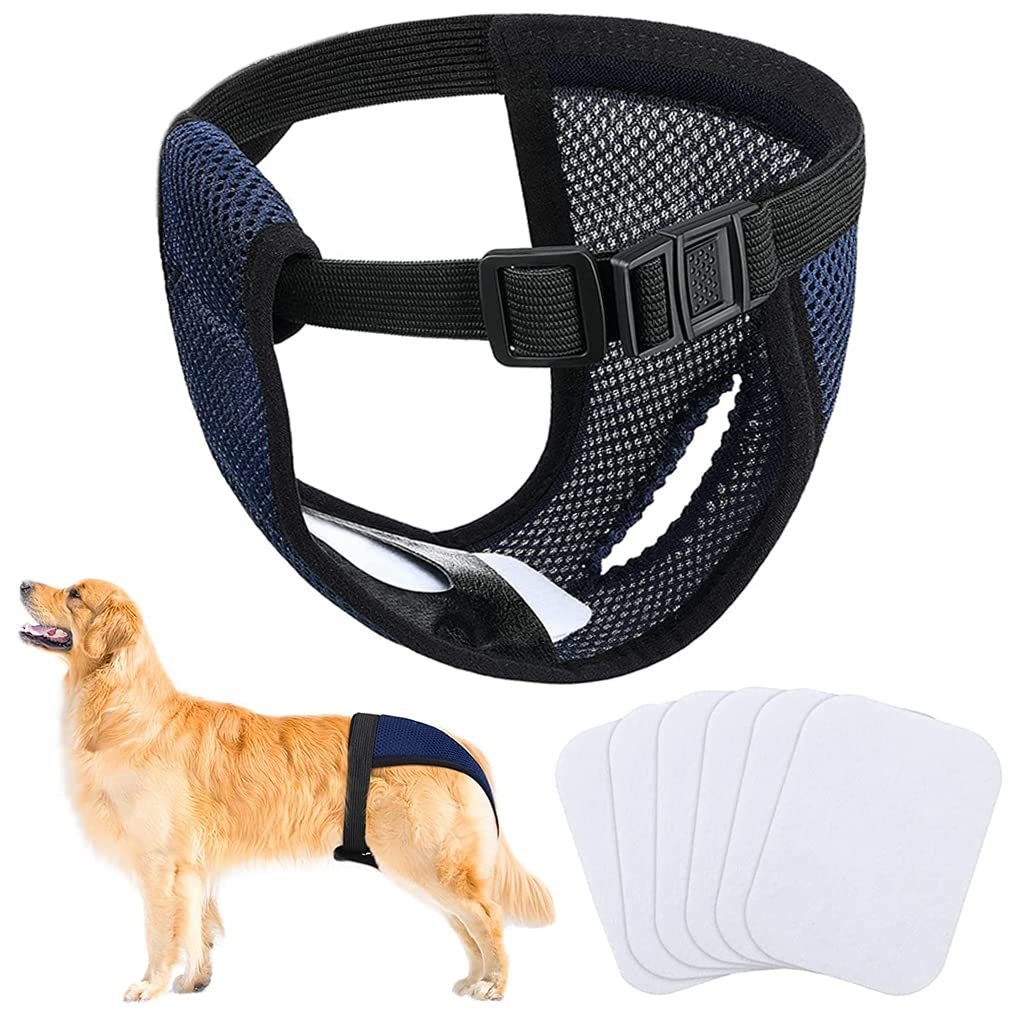 Qpets® 1 Pcs Pet Use Breathable Reusable Female Dogs Diapers with 3 Absorbption Cotton Pad Comfort Reusable Doggy Diapers for