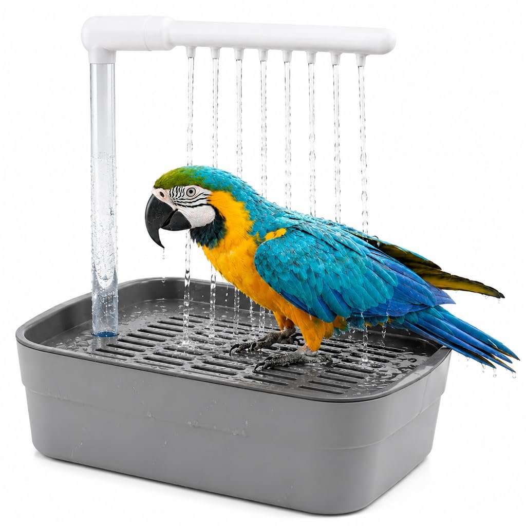 Qpets Automatic Bird Bath Box USB Fountain for Small Birds | Low Noise Circulating Water System for Small Birds, Easy to Clea
