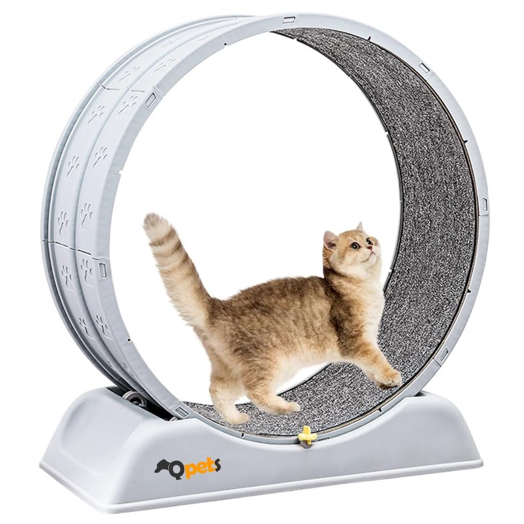 Qpets® Cat Exercise Wheel with Removable Cat Scratcher Track, Large Cat Running Wheel with Anti-Slip Base & Safety Latch, Sil
