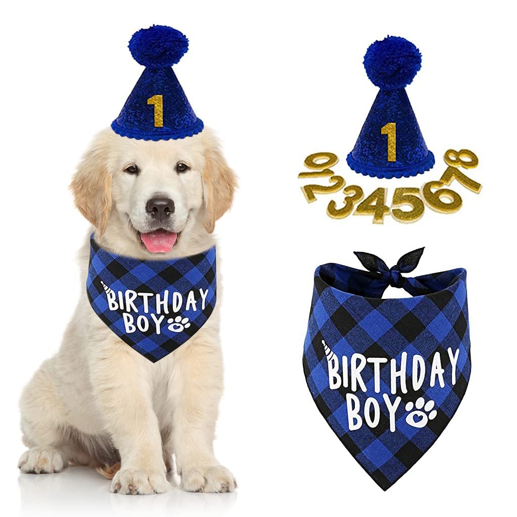 Qpets Dog Birthday Cap with Number Label Bandana, Blue, Pack of 1 | Party Styling, Coordinated Head and Neck Wear, Fabric Con
