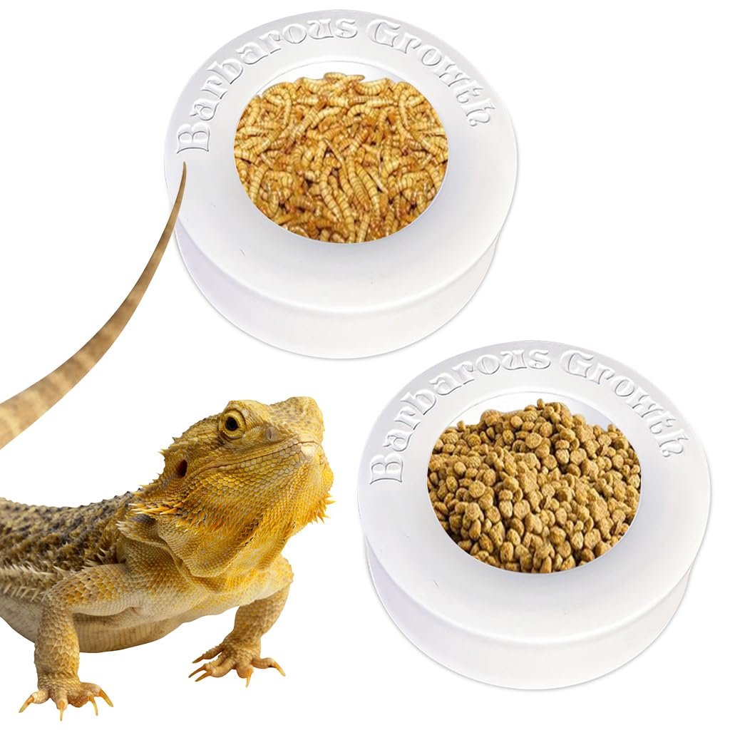 Qpets® Feeding Bowl for Reptiles, Anti-Escape Reptile Feeding Bowl, Pets Food Boxes Insect Box with Anti-Leak Water Bowl for