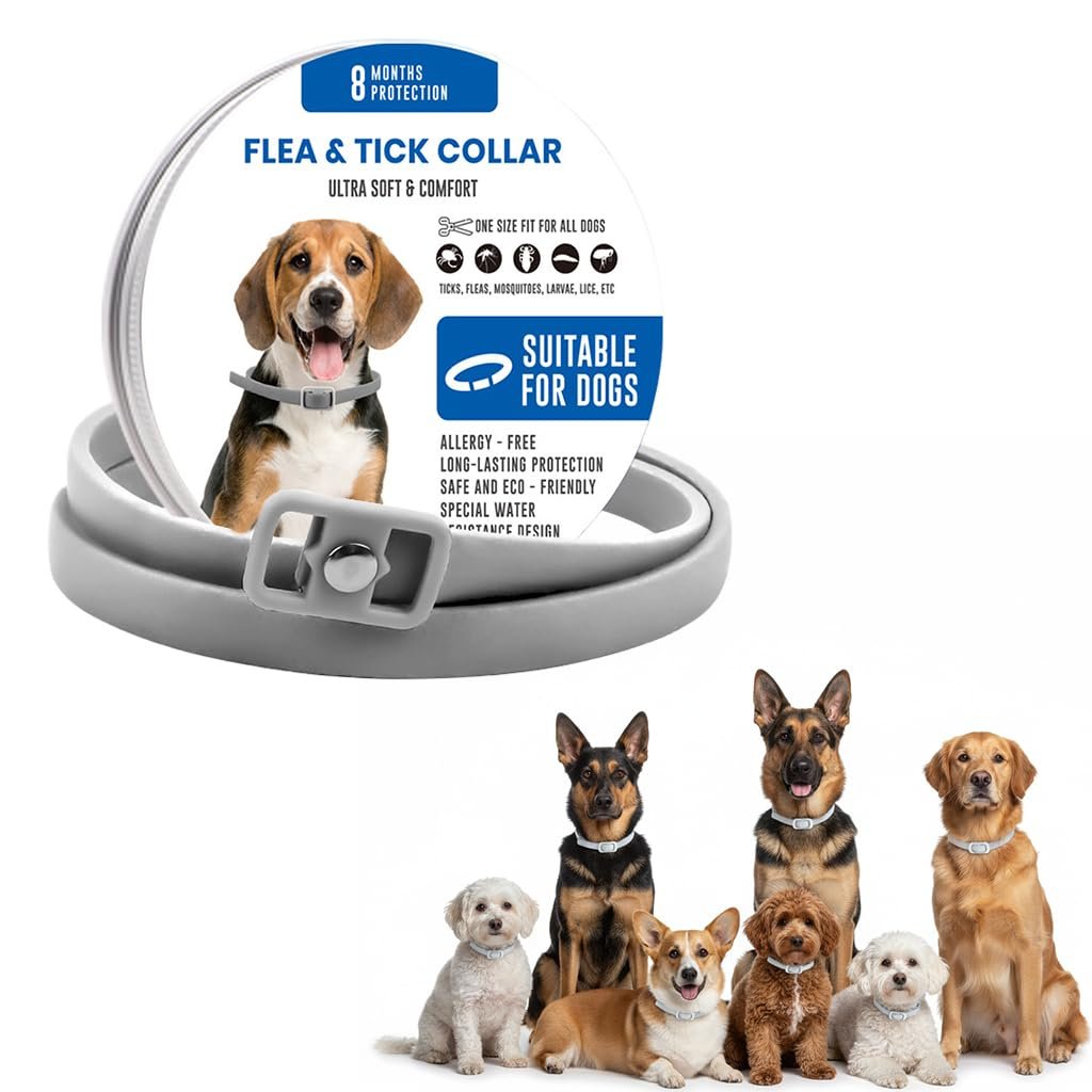 Qpets Flea and Tick Collar for Dogs Adjustable Waterproof Collar 62cm | 8 Month Flea and Tick Protection with Waterproof Sili