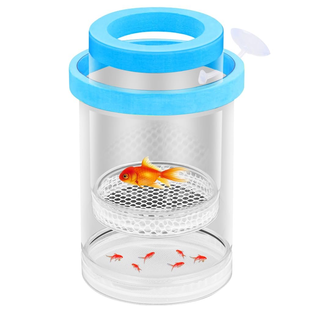 Qpets® Floating Aquarium Breeder Box, 10cm Double-Layer Isolation Hatchery with Suction Cup & Foam Mount, Clear Observation B