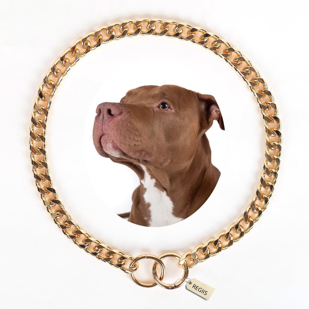 REGIIS Premium Dog Chain Collar, Gold Plated with Diamond Cut Links, Anti-Tarnish Finish (Never Turns Black), Push Lock Closu