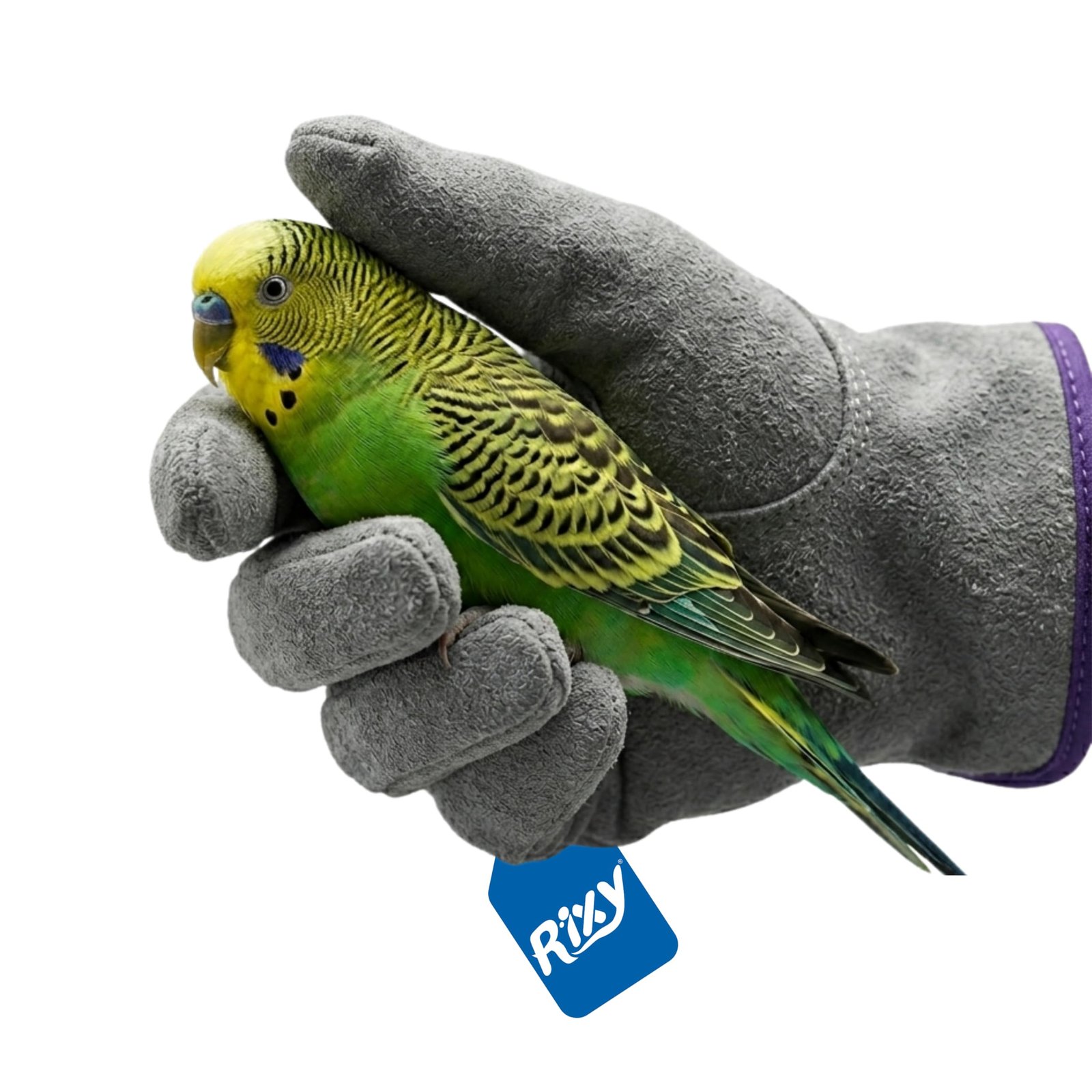 Rixy Bird & Small Animal Safe Handling Glove (1 Pc) | Anti Bite Protective Leather Pet Handling & Catching Gloves for Birds,
