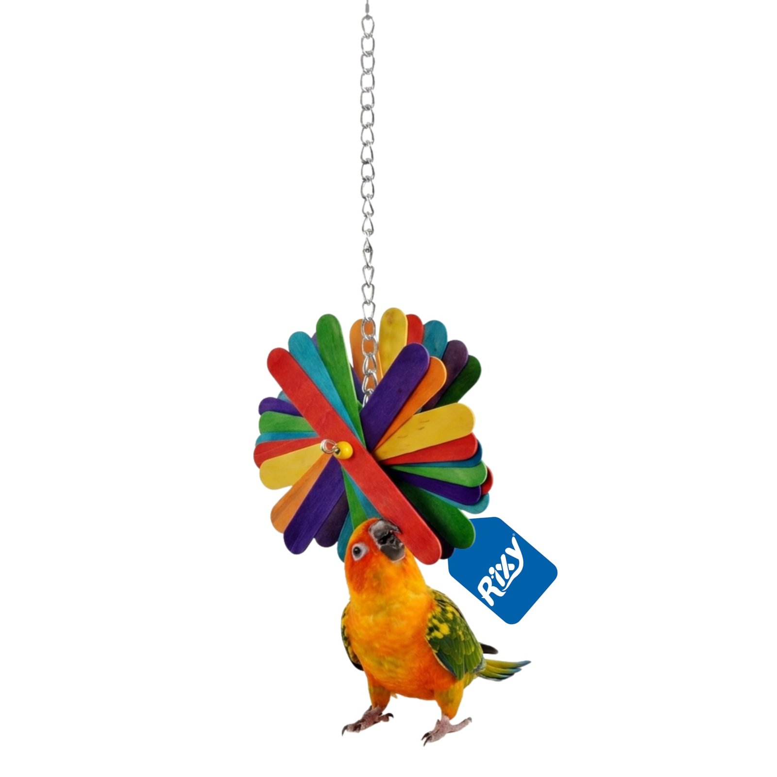 Rixy Natural Wood Hanging Chew Toy for Birds | Foraging Wooden Toy with Colourful Sticks and Beads for Finches, Budgies, Love