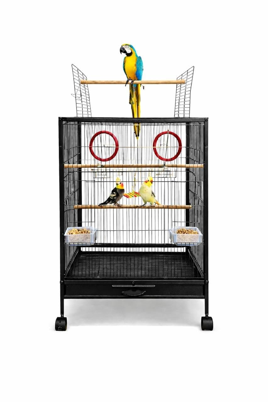 rizopets 30 inch Sturdy Large Bird Metal Cage for Parakeets Cockatiels Parrot Sun Conure Green-Cheeked Parakeet Lovebird Cana