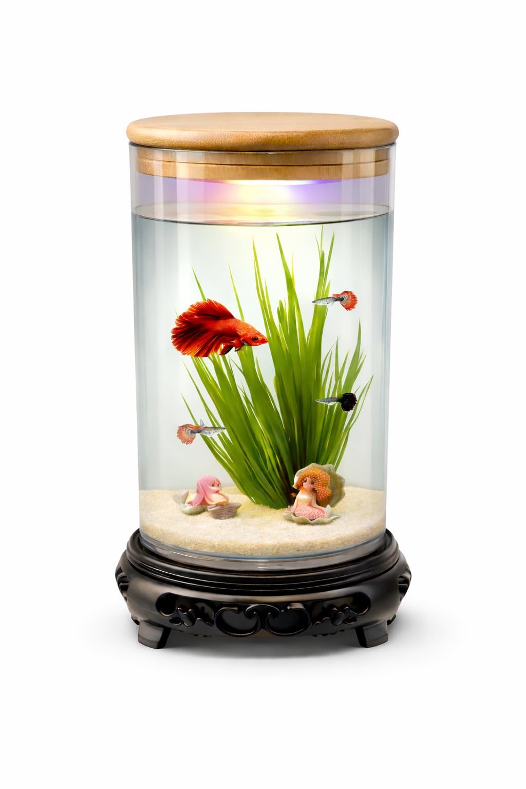 rizopets Desktop mini Fish Tank Aquarium, White, Acrylic, 1.5 Liters, 21x11x11 cm, Rectangular with LED Lighting, Modern Styl