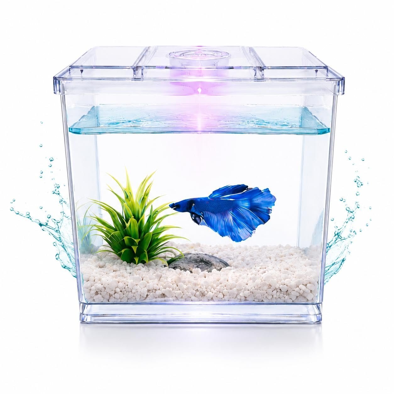 rizopets Small Betta Fish Tank, Clear Acrylic Aquarium with LED Light, Desktop Mini Fish Bowl, 700ML, Size H-5, L 5.5, W 4 IN