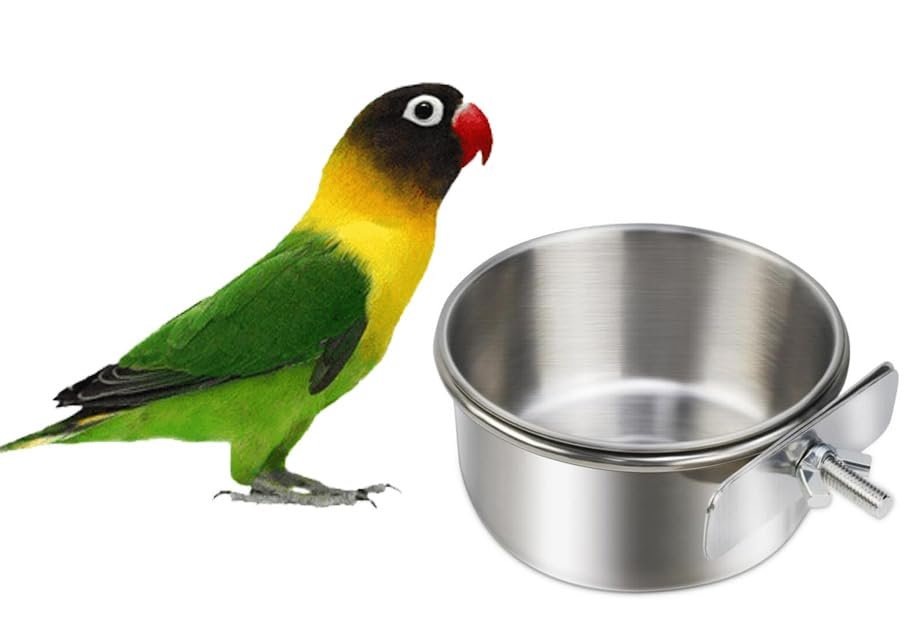 RvPaws 1 Pack Stainless Steel Bird Bowls for Cage Parrot Food Water Bowl Bird Feeding Dish Cups Parrot Food Water Feeder Pet